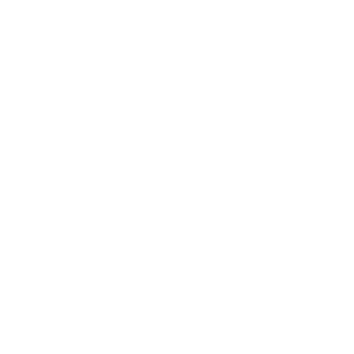 Brochure Icon