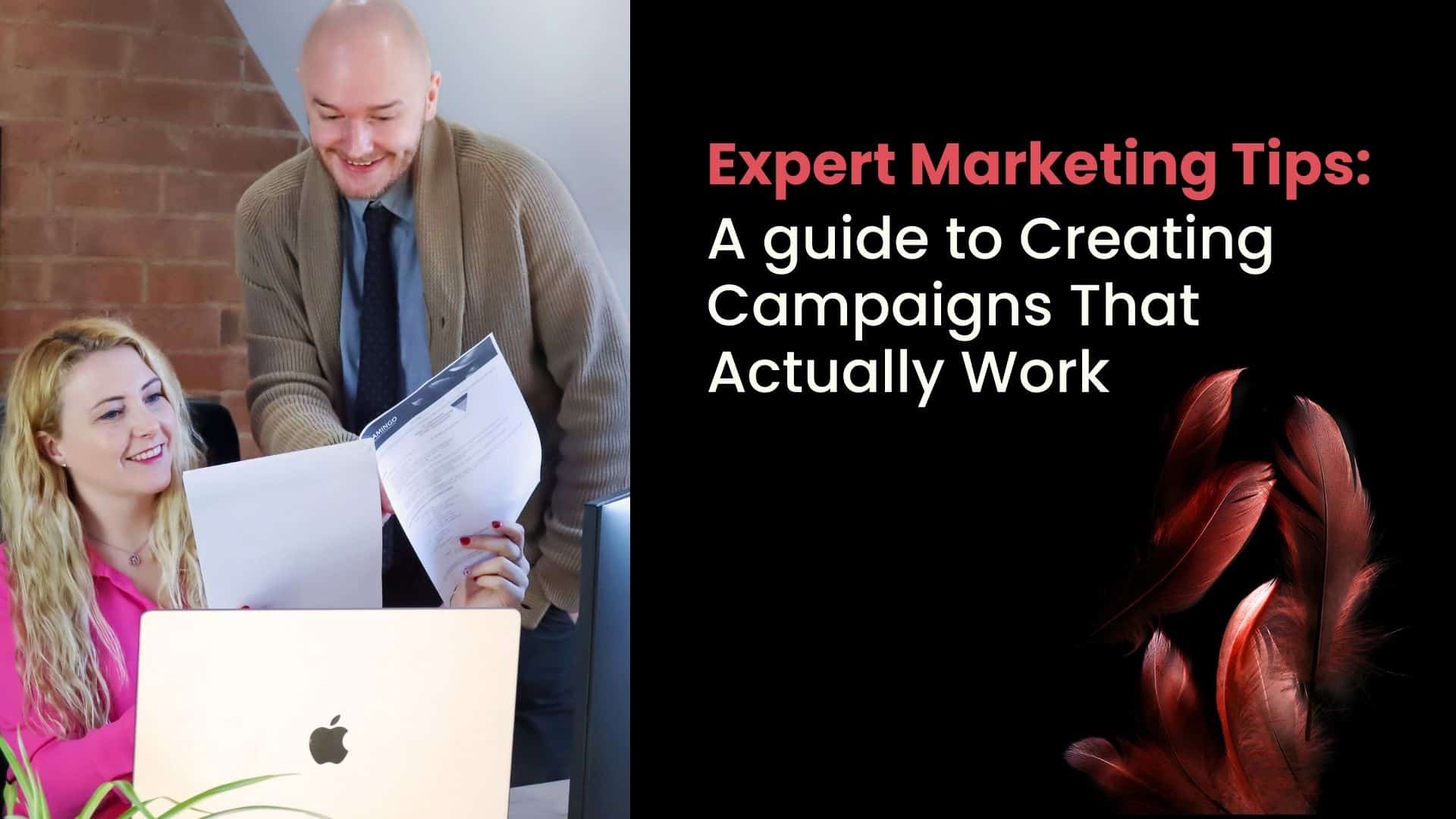 Expert Marketing Tips Feature