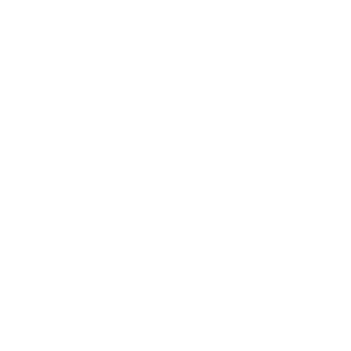 Portfolio Icon