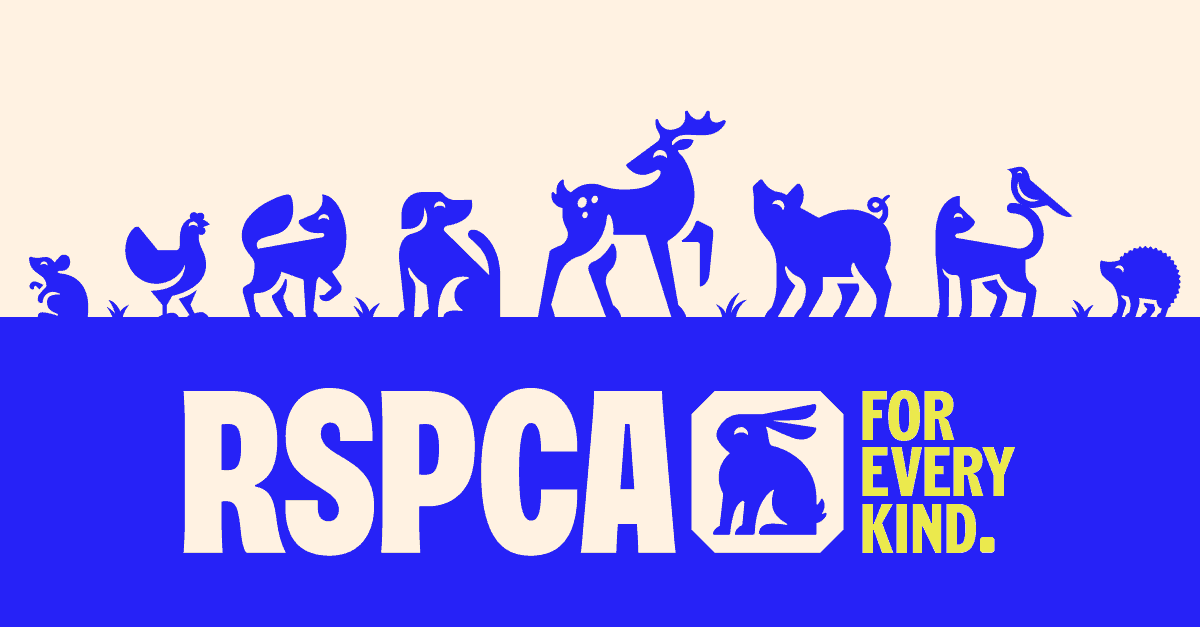 When to rebrand_RSPCA Rebrand