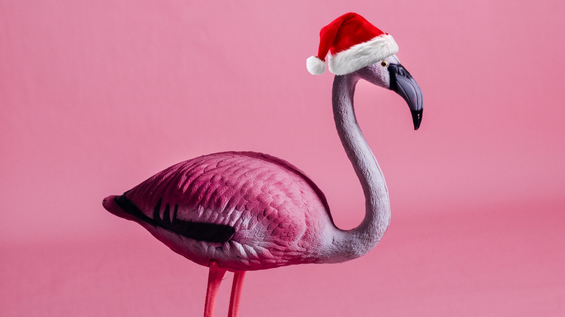 Christmas-Flamingo Christmas-Flamingo